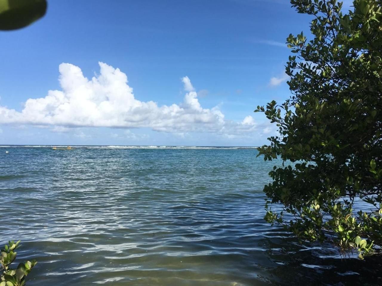 Polinesia Resort - Porto De Galinhas - Apartamentos Com Somente 1 Opcao De Terreo Com Piscina Privativa - Acesso Ao Hotel Samoa Zewnętrze zdjęcie