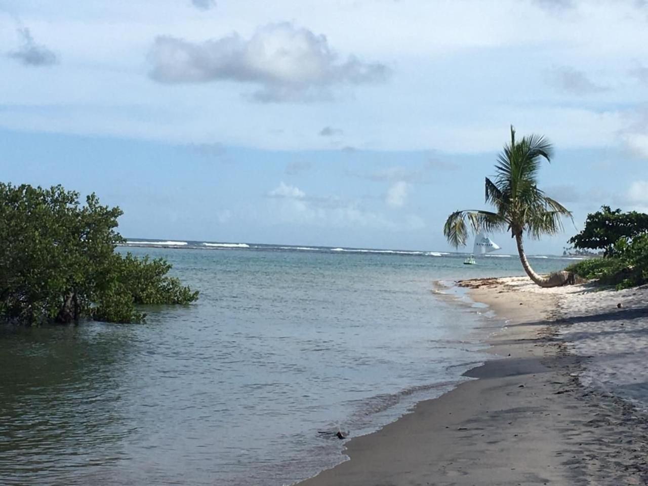 Polinesia Resort - Porto De Galinhas - Apartamentos Com Somente 1 Opcao De Terreo Com Piscina Privativa - Acesso Ao Hotel Samoa Zewnętrze zdjęcie