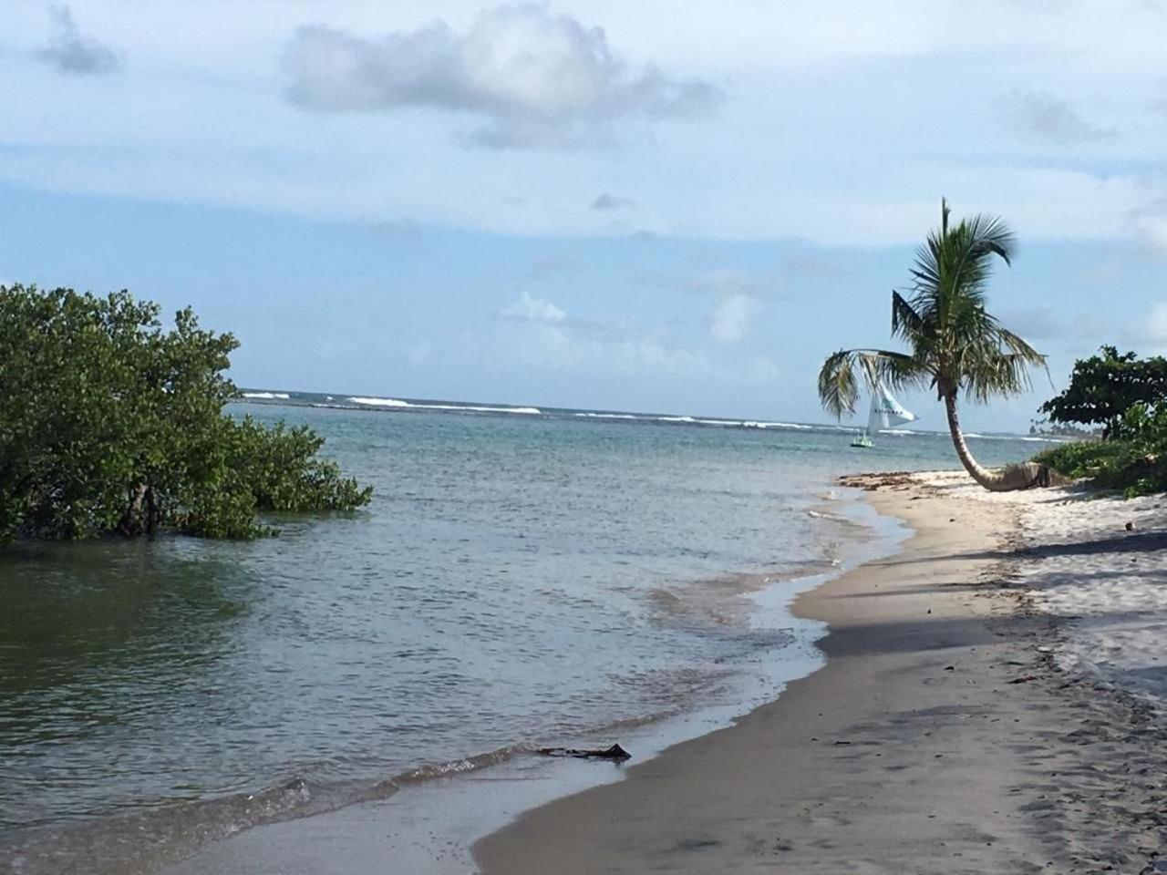 Polinesia Resort - Porto De Galinhas - Apartamentos Com Somente 1 Opcao De Terreo Com Piscina Privativa - Acesso Ao Hotel Samoa Zewnętrze zdjęcie